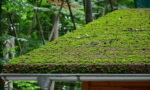 Composition et avantages d’une toiture végétalisée